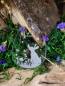 Preview: Geschenk, Hase, Ostern, Personalisiert