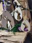 Preview: Geschenk, Ostern, Osterhase