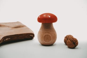 Nussknacker Fliegenpilz